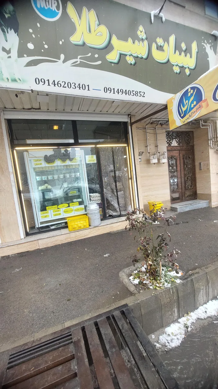 لبنیاتی شیر طلا