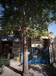 ارزان فروشی صداقت