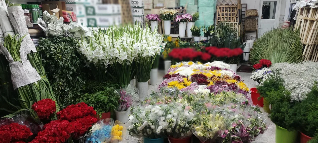 پخش گل و گلفروشی حاتم یار - گل‌فروشی در ارومیه - تصویر 5