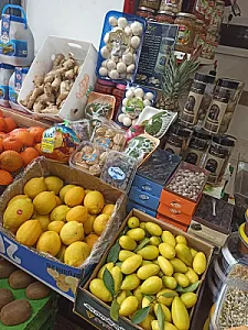 میوه سرای صادق