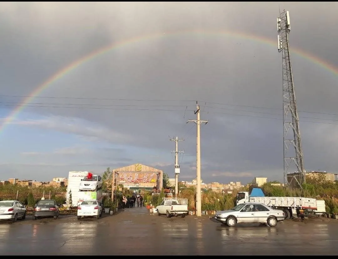 گل و گیاه فیدان - تصویر 2