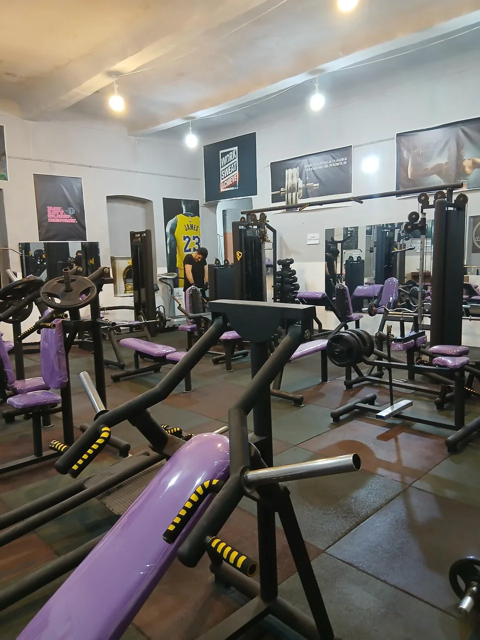 باشگاه بدنسازی آلفا