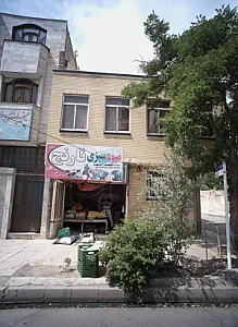 میوه سبزی نارنج