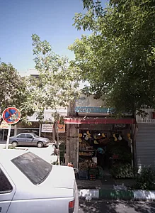 میوه فروشی رسولی