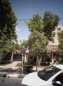 میوه و سبزی فروشی