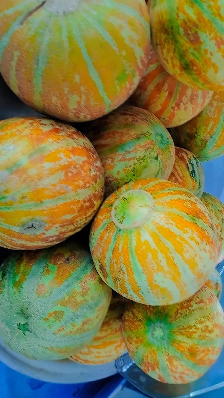 میوه سرای سما - تصویر 5