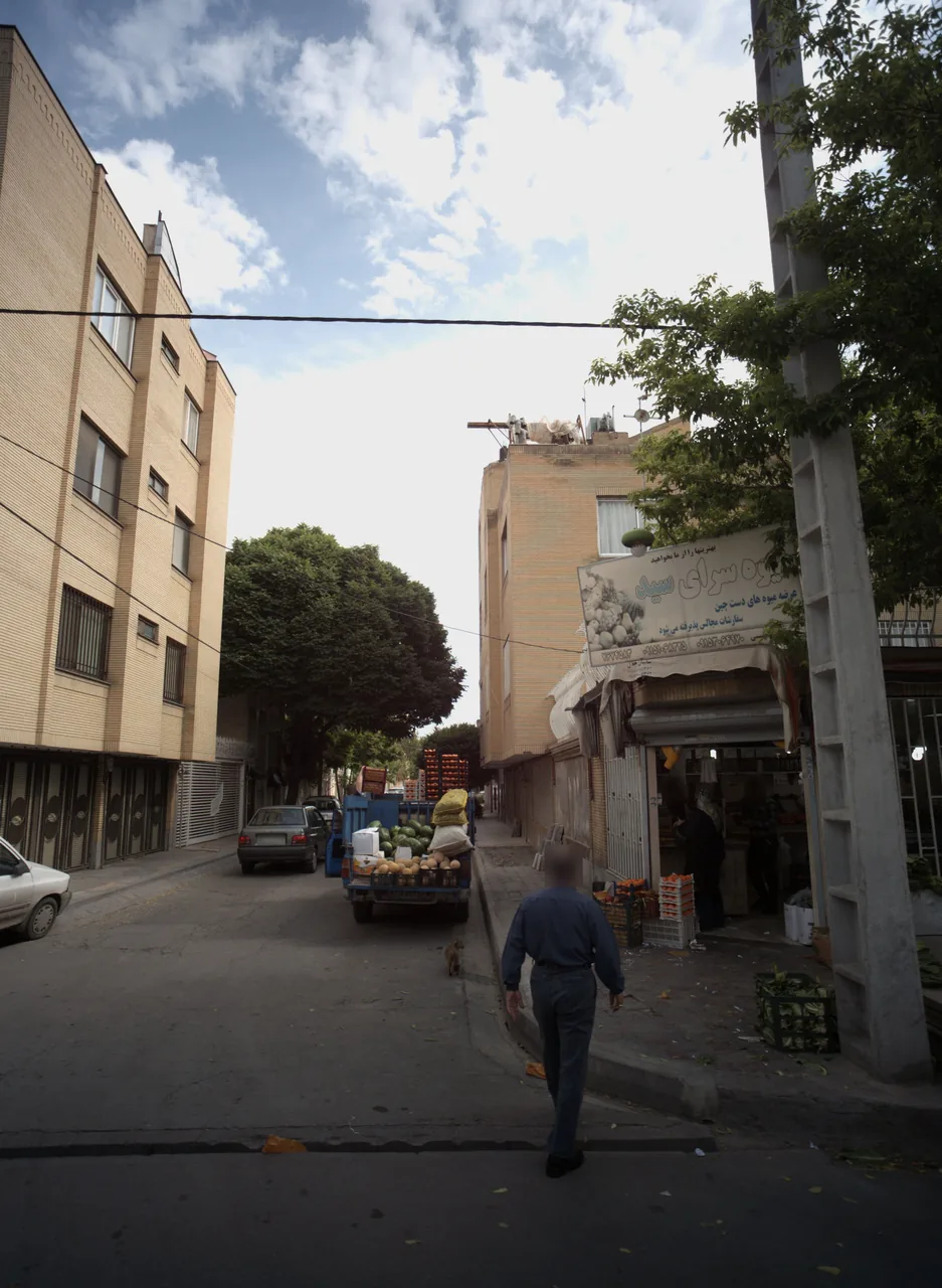 میوه سرای سید