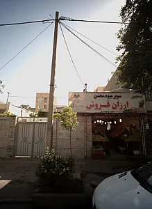 سوپر میوه محسن