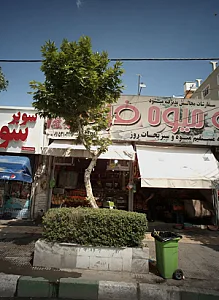 میوه فرامرز