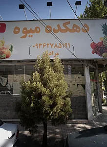 دهکده میوه