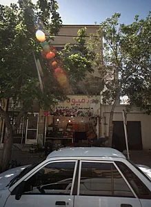 سوپر میوه سید