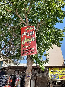 ایزوگام عبدی