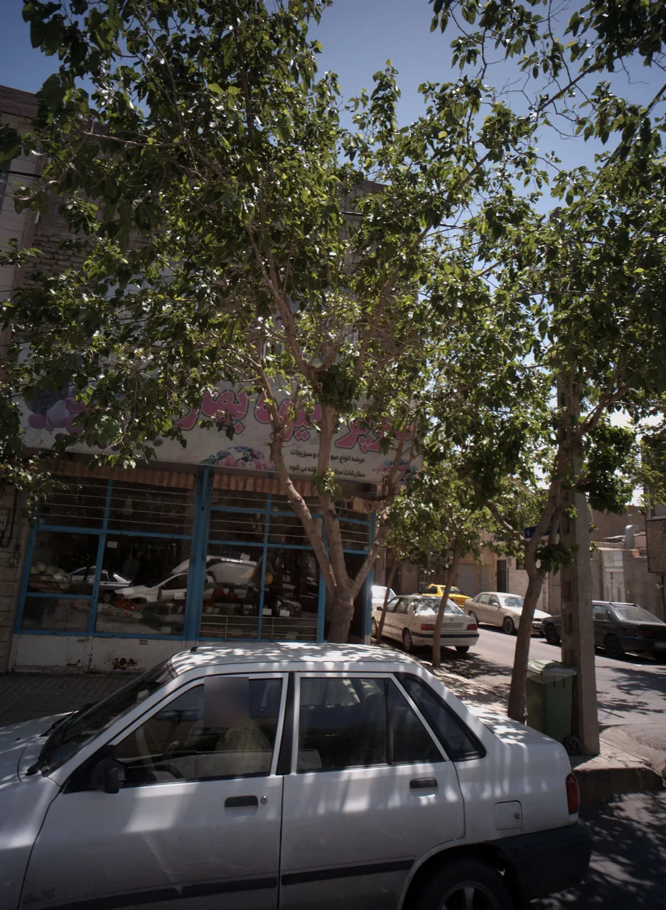 سوپر میوه بهار - تصویر 4