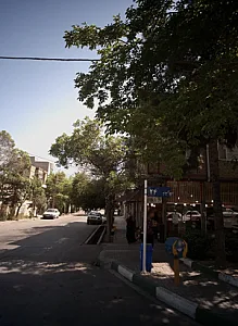 سبزی نیشابور
