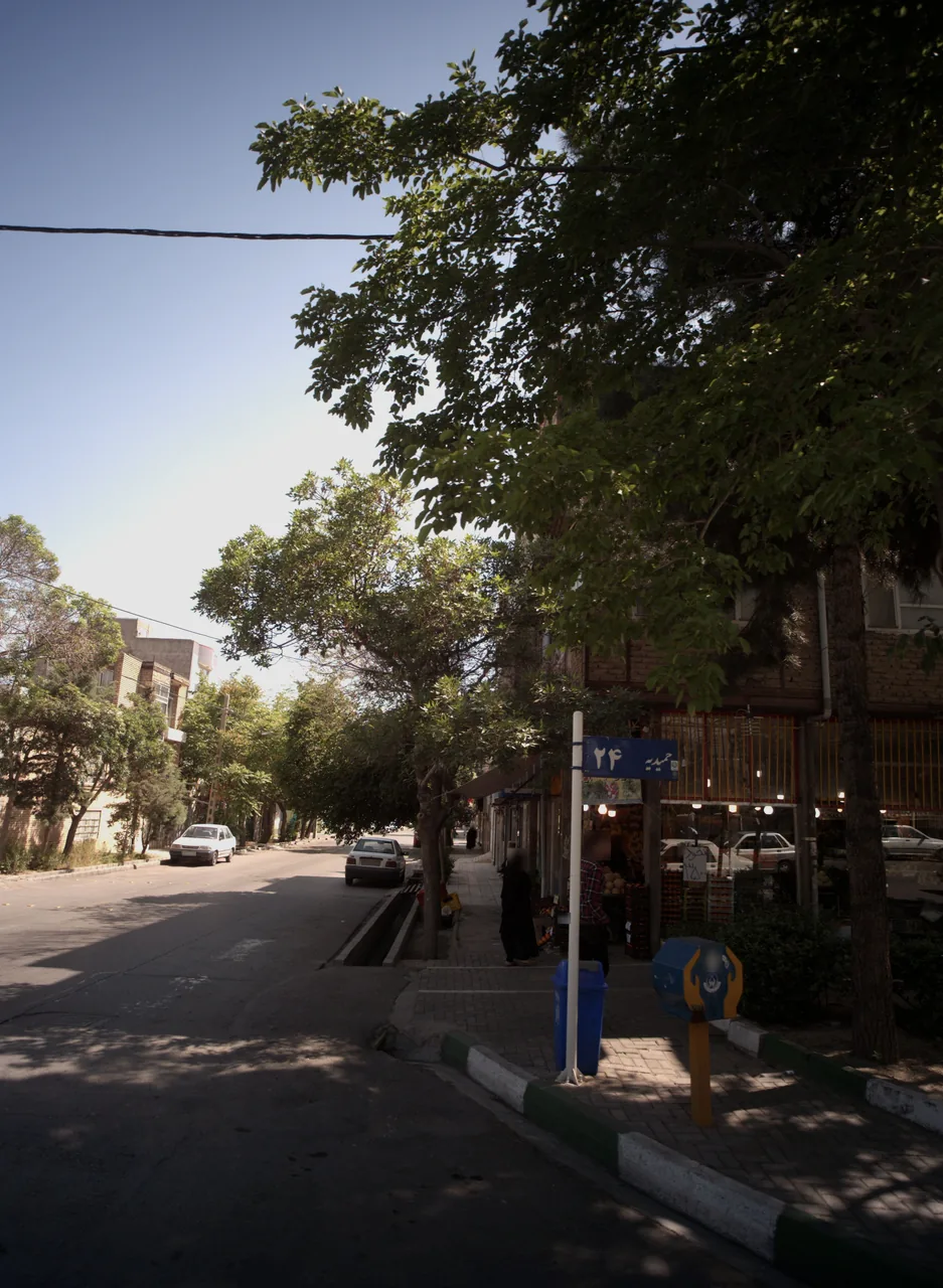سبزی نیشابور