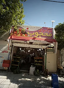 میوه سرای محجوب