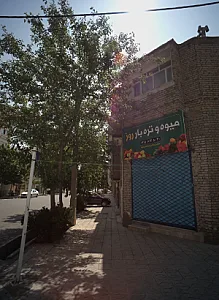 میوه و تره بار روز