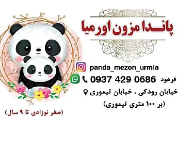 پاندا مزون اورمیا