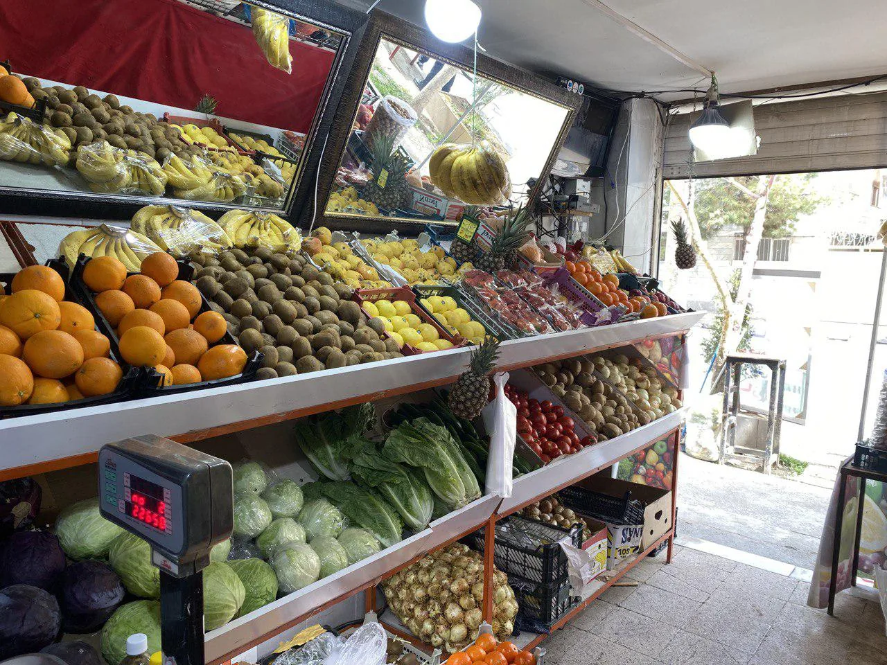 میوه ترنج - تصویر 3
