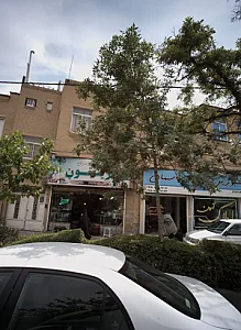 ویتامین سرای زیتون