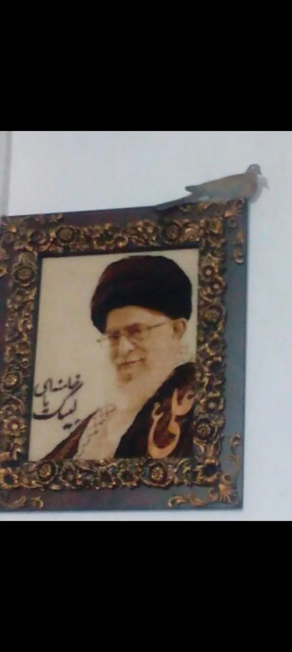 تولیدی و تعمیرات فرش دستباف حازم - پیمانکاری ساختمان در کرمانشاه - تصویر 5