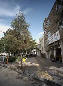 میوه و تره بار وفائی