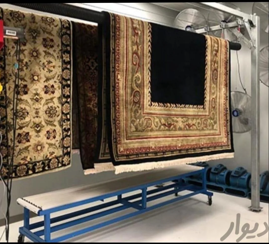 قالیشویی سلیمانی