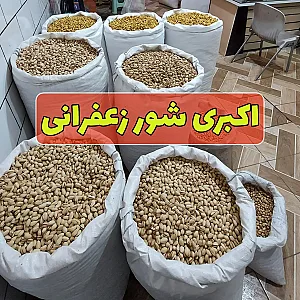 پسته طلایی