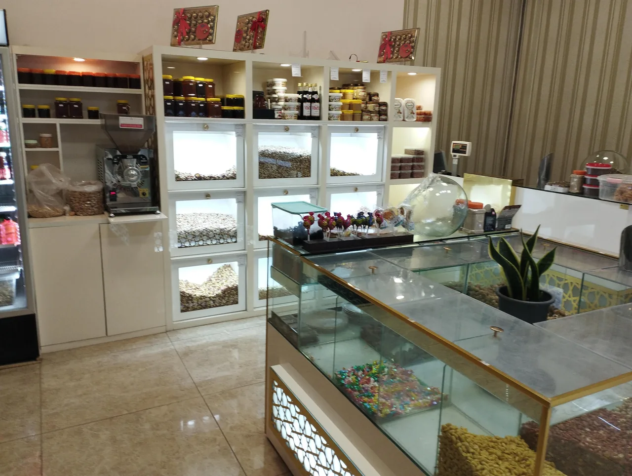 اجیل خشکبار هاشمی
