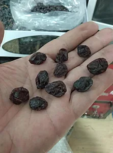 فروشگاه مویز کرمان
