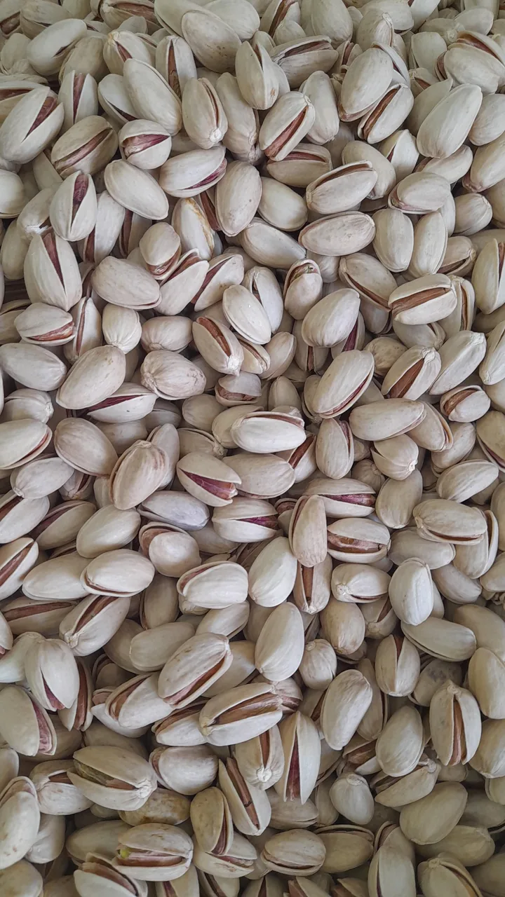 فروشگاه پسته مسته کرمان - تصویر 2