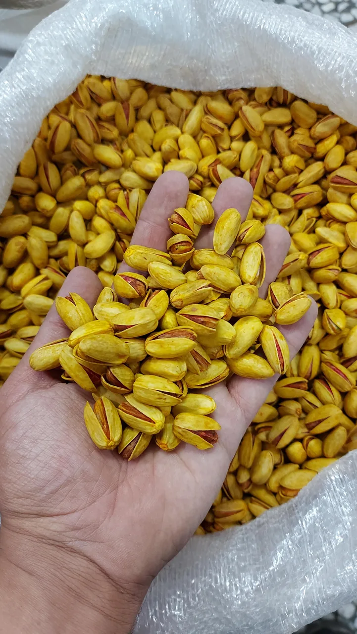 پسته رجا