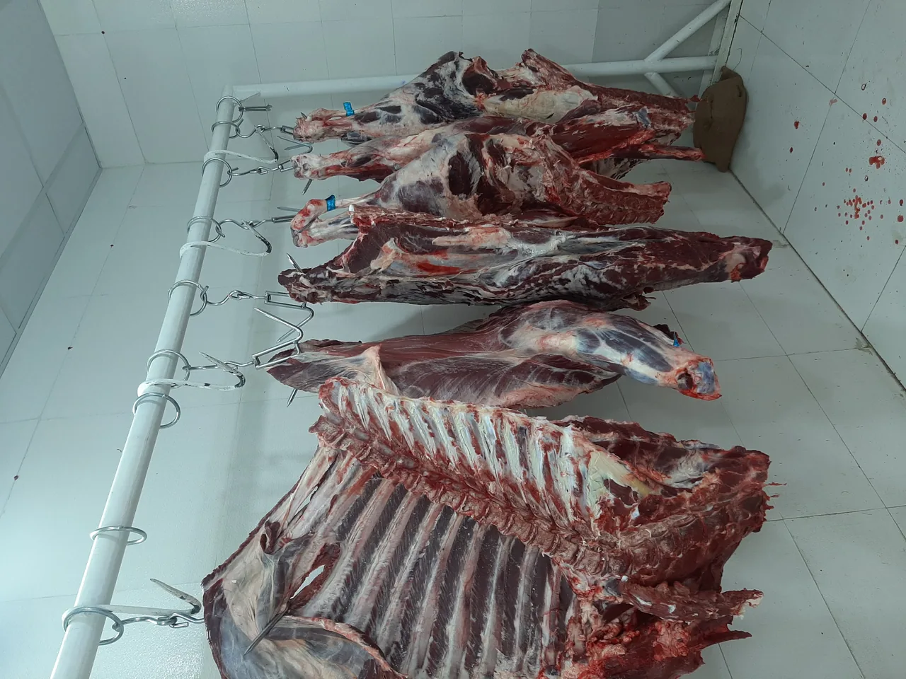 سوپر گوشت‌ فیروزآبادی