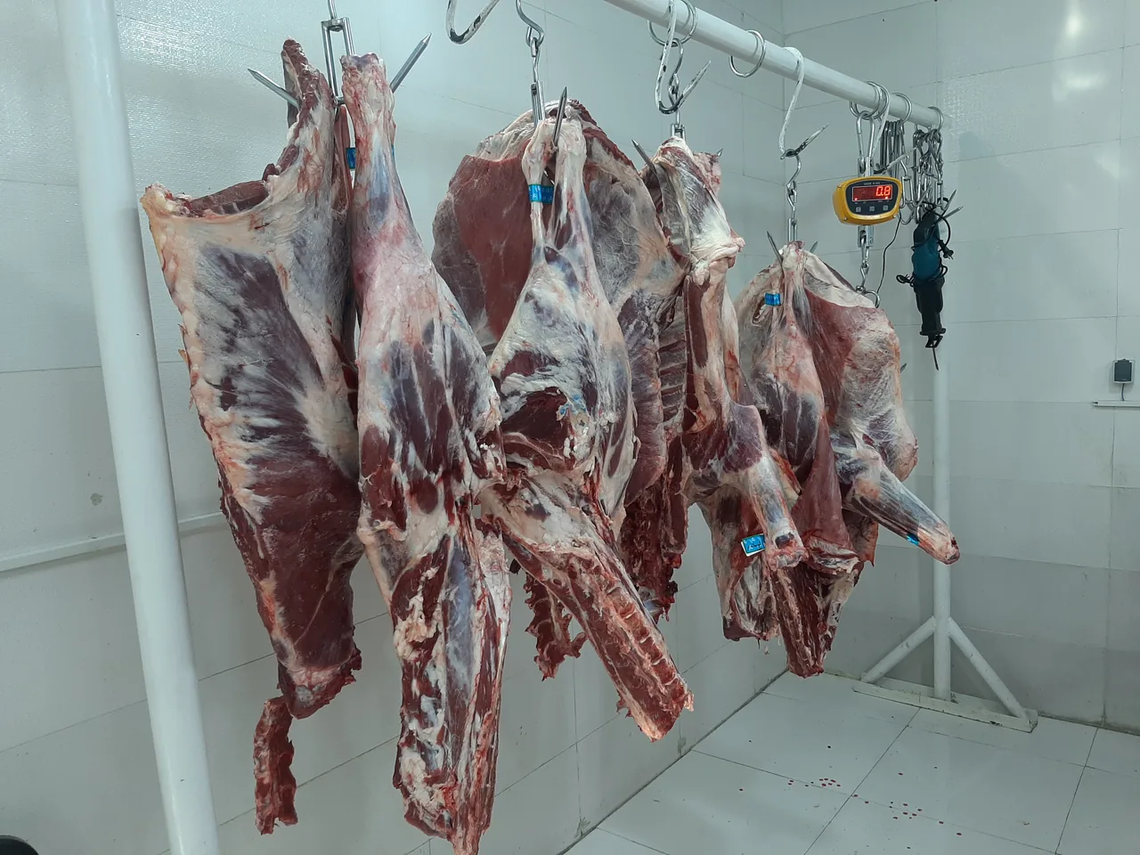 سوپر گوشت‌ فیروزآبادی - تصویر 3