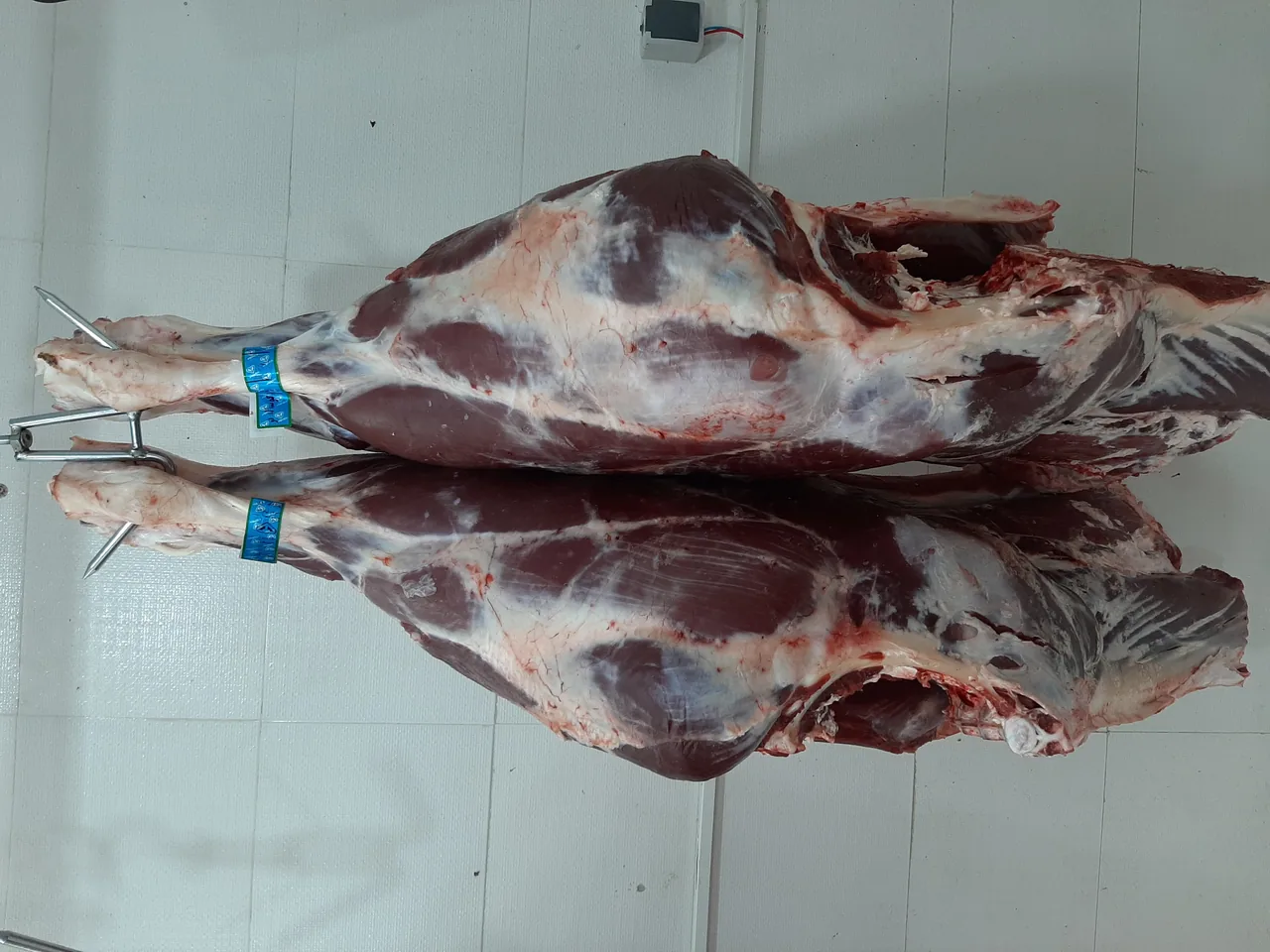 سوپر گوشت‌ فیروزآبادی - تصویر 4