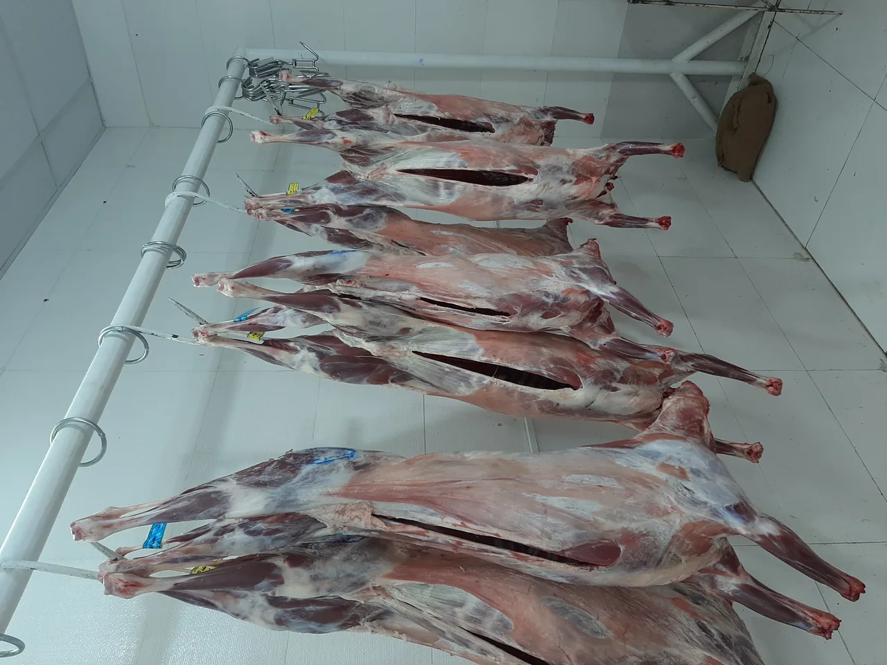 سوپر گوشت‌ فیروزآبادی - تصویر 6