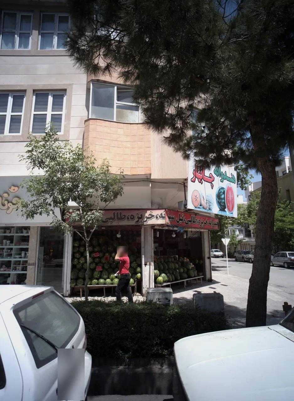 هندوانه چابهار - تصویر 5