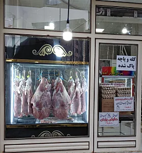 سوپر پروتئین یزدان