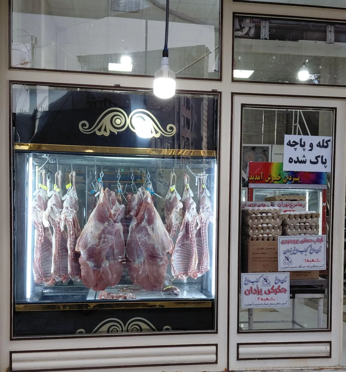 سوپر پروتئین یزدان