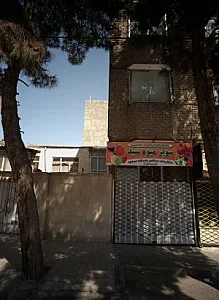 سوپر میوه سید