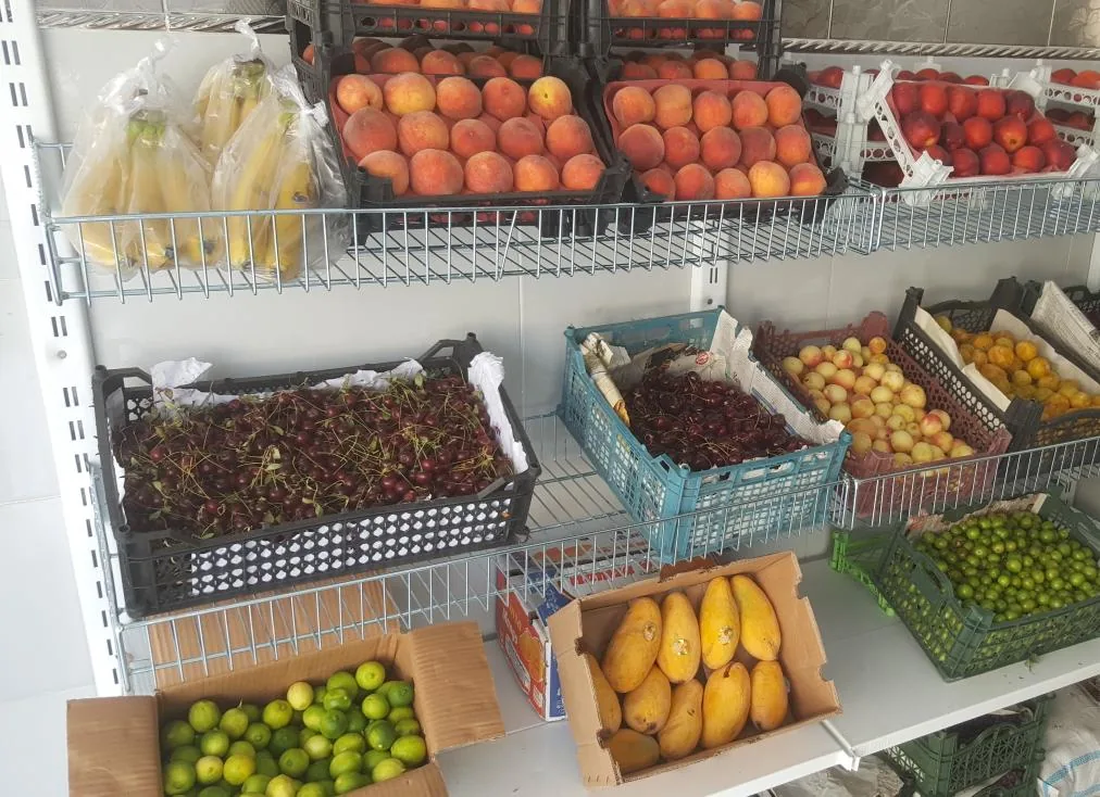 سوپر میوه زیتون - تصویر 3