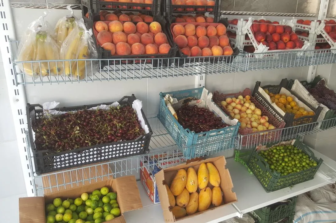 سوپر میوه زیتون - تصویر 4