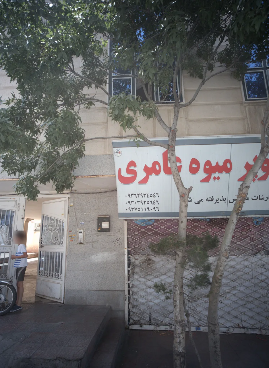 میوه فروشی عامری - تصویر 4