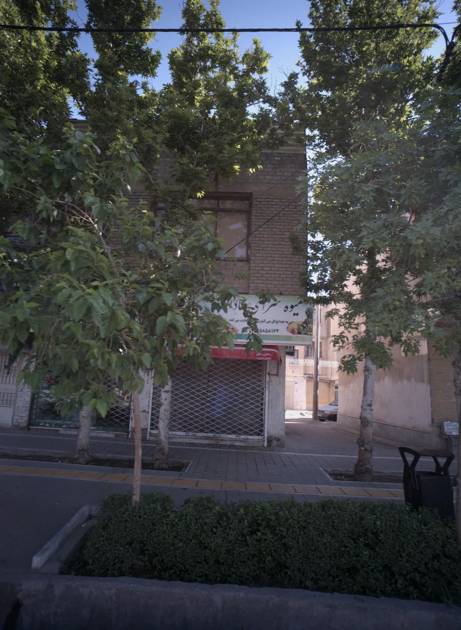 میوه سرای سادات
