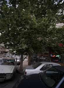 سوپر میوه تمشک