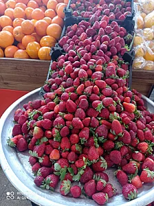 فروشگاه میوه انلاین