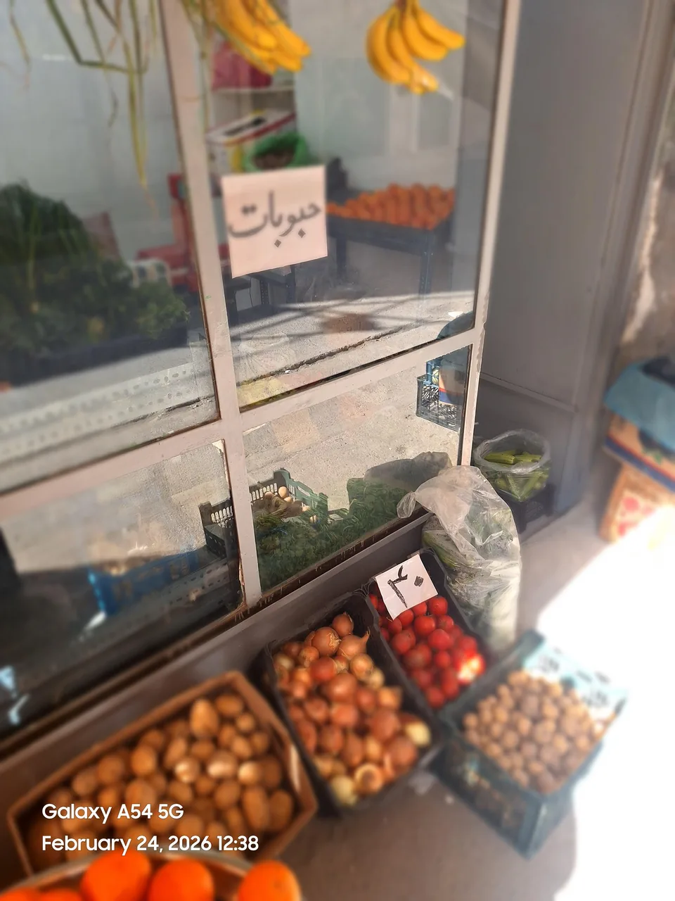 میوه سرای رز - تصویر 2