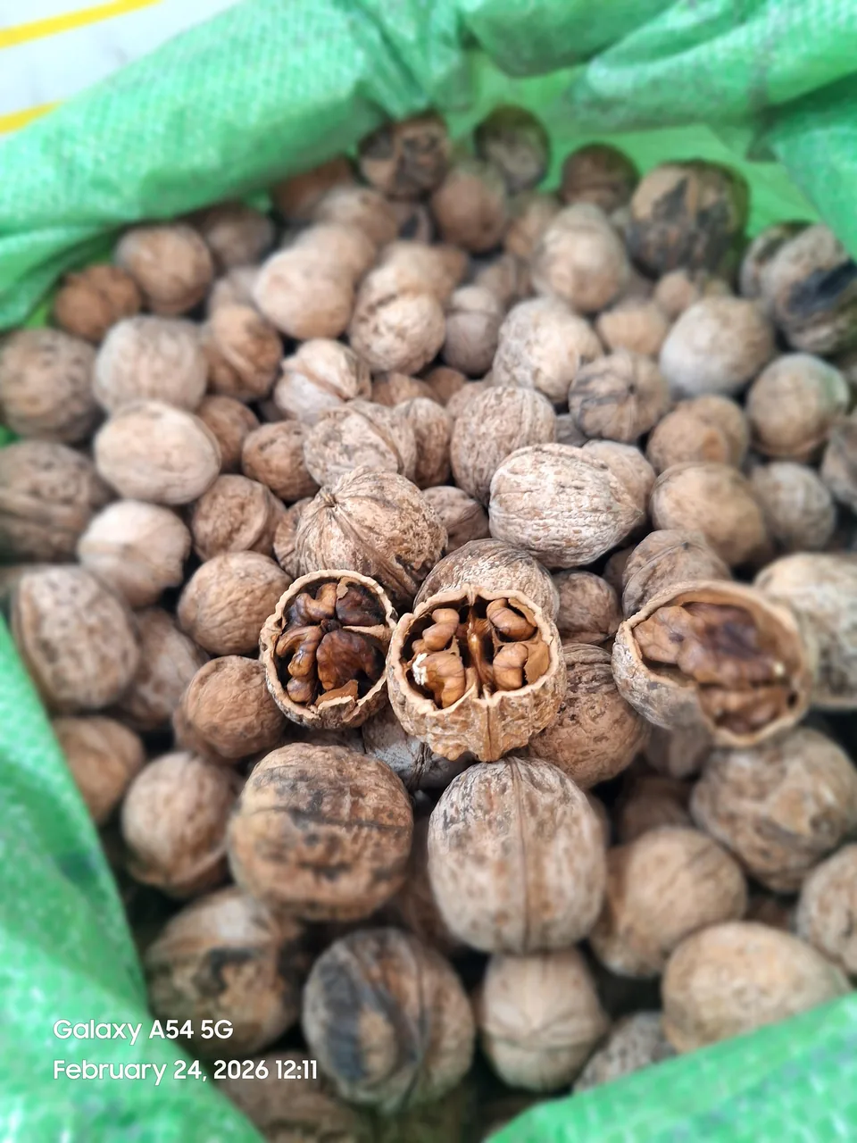 میوه سرای رز - تصویر 5