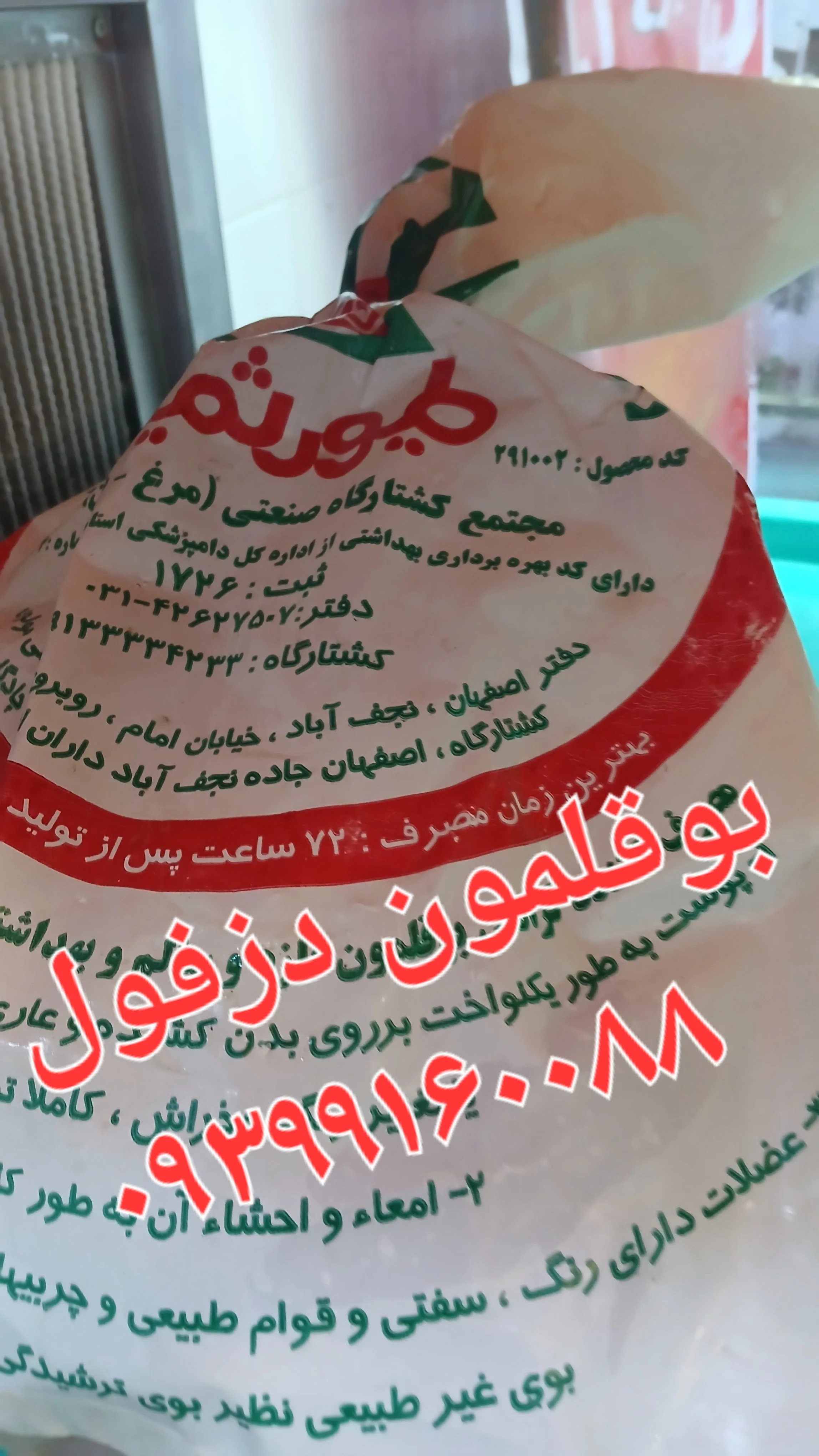 مرغ و ماهی سیمرغ - تصویر 2