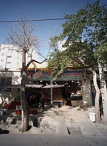 میوه سرای بهشت